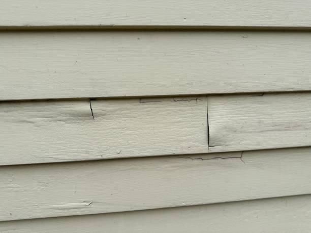 Best James Hardie Siding  in Garfield, NJ